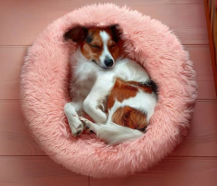 CAMA NIDO PARA PERROS Y GATOS - CT