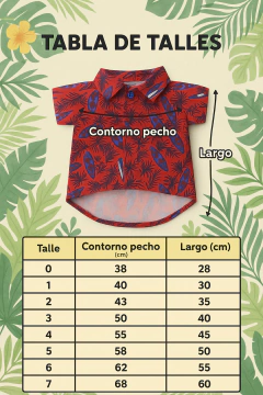 CAMISA VERANO TURQUESA 2026-PC en internet