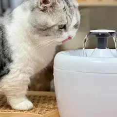 FUENTE DE AGUA CON USB PARA MASCOTAS MODELO FLOR-RS - tienda online