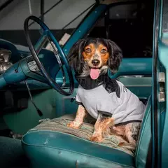 Imagen de CAMPERA CHOPPER FRIZA Y CUERO CON CIERRE-EK