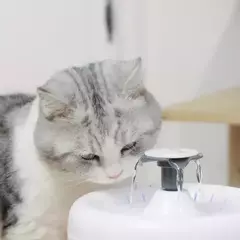FUENTE DE AGUA CON USB PARA MASCOTAS MODELO FLOR-RS en internet