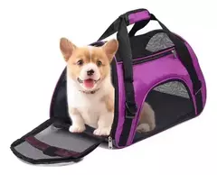 BOLSO DORY ROSA APTO PARA AVIÓN - AP