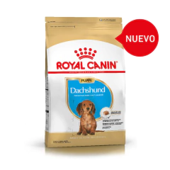 ROYAL CANIN DACHSUND PUPPY