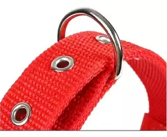 COLLAR LISO VARIOS TALLES - TL - Pet Crows