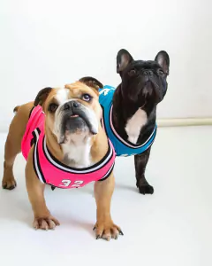 MUSCULOSA BASQUET SOLO ROSA Y ROJA - FD