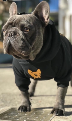 Imagen de BUZO TRAP YELLOW-FD