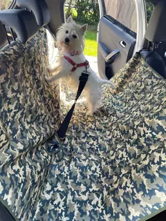 Funda para auto/camioneta - RR - comprar online