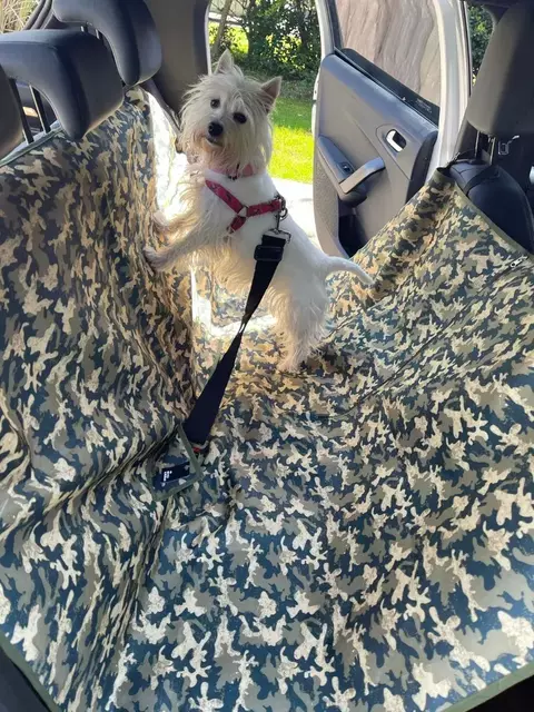 Funda para auto/camioneta - RR - comprar online