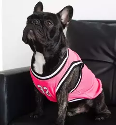 Imagen de MUSCULOSA DE BASQUET VARIOS COLORES -FD