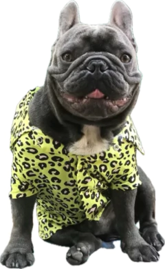 CAMISAS ANIMAL PRINT-FD - comprar online