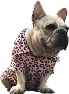 CAMISAS ANIMAL PRINT-FD