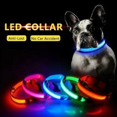 COLLAR LED LARGE - AP