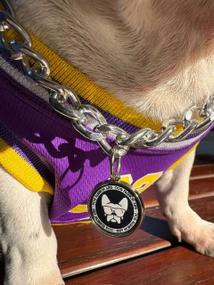 CADENA SIMIL PLATA CON DIJE FASHION DOG-FD en internet