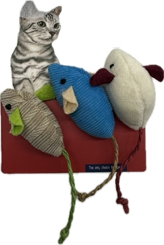 RATITA X 3 PARA GATOS-RS