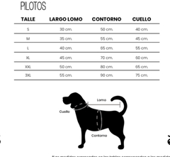 PILOTO SEA TORNASOLADO-APS en internet