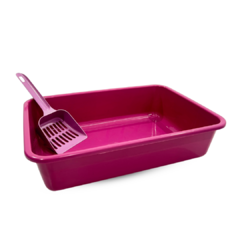 BANDEJA SANITARIA (LITERA) ECONÓMICA-PC - comprar online