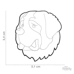 CHAPITA FRIENDS SAN BERNARDO en internet