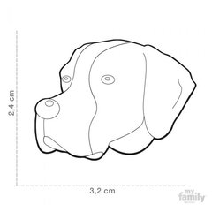 CHAPITA FRIENDS POINTER en internet