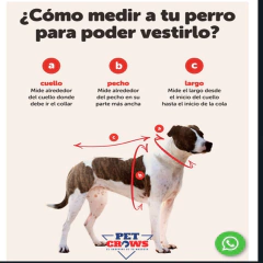 BUZO NEGRO HOODIE 2025 ,FD en internet