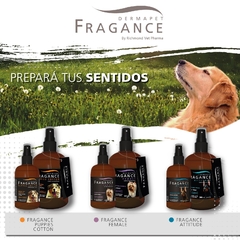 FRAGANCIA DERMAPET 125 Ml - Fragancia ATTITUDE R - comprar online