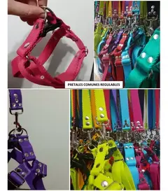 Imagen de Pretal Liso Regulable T1 AL T5-TL