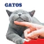 Banner de Pet Crows