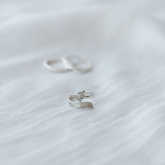 ANILLO ZORRITO