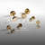 Banner de AMS