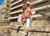 Iris (H882) - comprar online