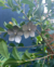 Aros Flor Agata - comprar online