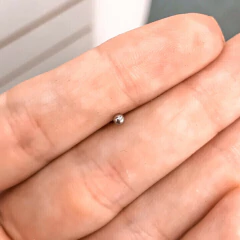 Nostril Bolita (00962)