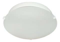 Plafon De Techo Vidrio 25cm Redondo Satinado Apto Led