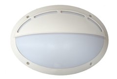 Aplique Tortuga Oval Pared Exterior Jardin Grande Apto Led