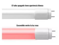 Tubo Carniceria Grolux Acuario Rosa Led 14w 120cm - comprar online