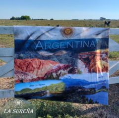 Manta polar soft Argentina - LA SUREÑA