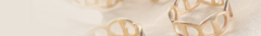 Banner de la categoría ANILLOS