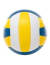Pelota De Voley Striker N* 5 - The Brand Store