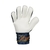 Guantes de Arquero Reusch Semi Prof Attrakt Storm Gold Niños en internet