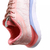 Zapatillas Atomik Hiedra 22 Mujer - comprar online