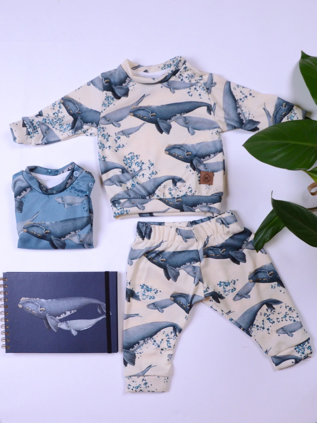 Conjunto buzo y pantalón liviano BALLENA FRANCA AUSTRAL color crudo