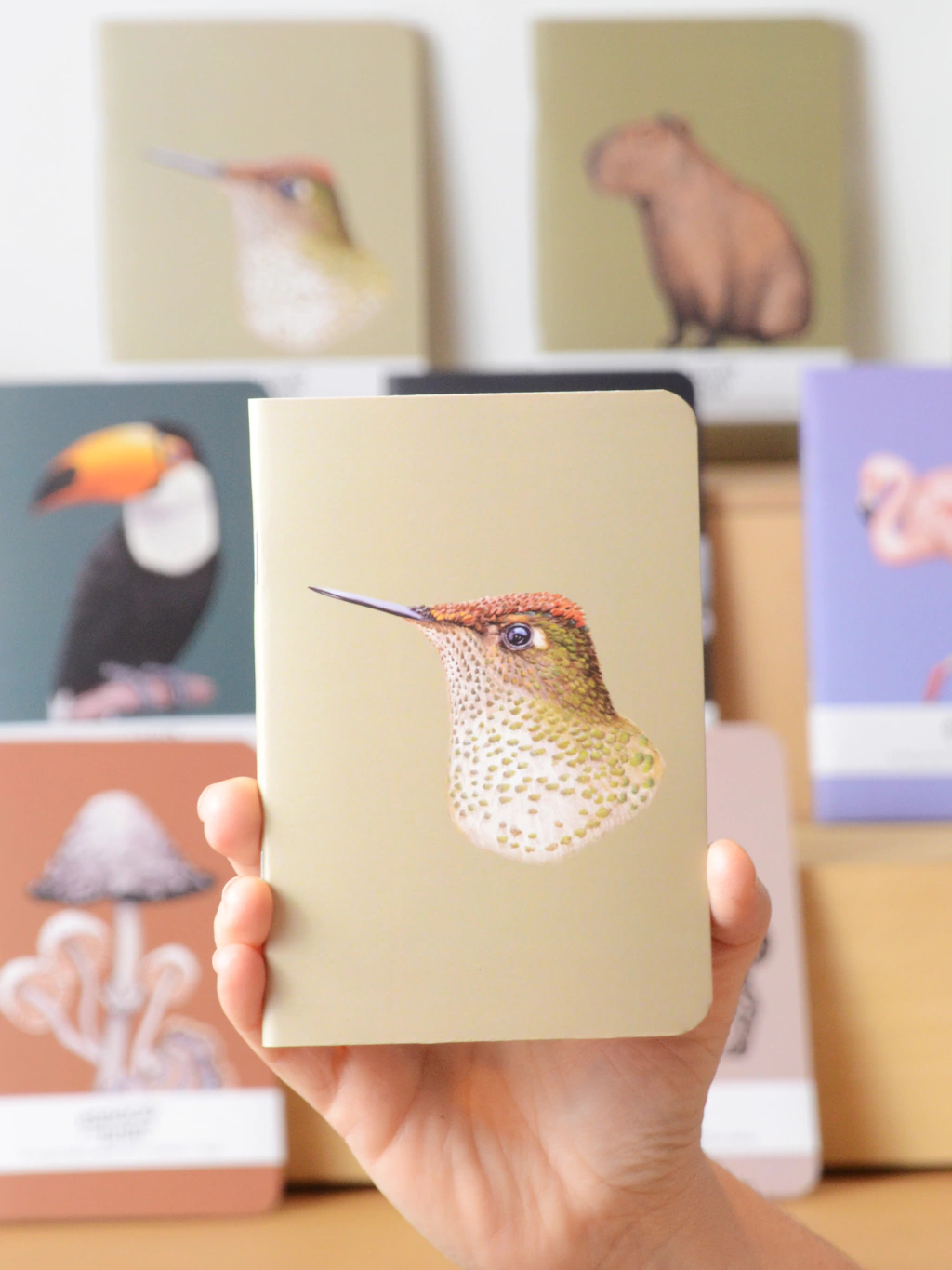 Libreta COLIBRI A6