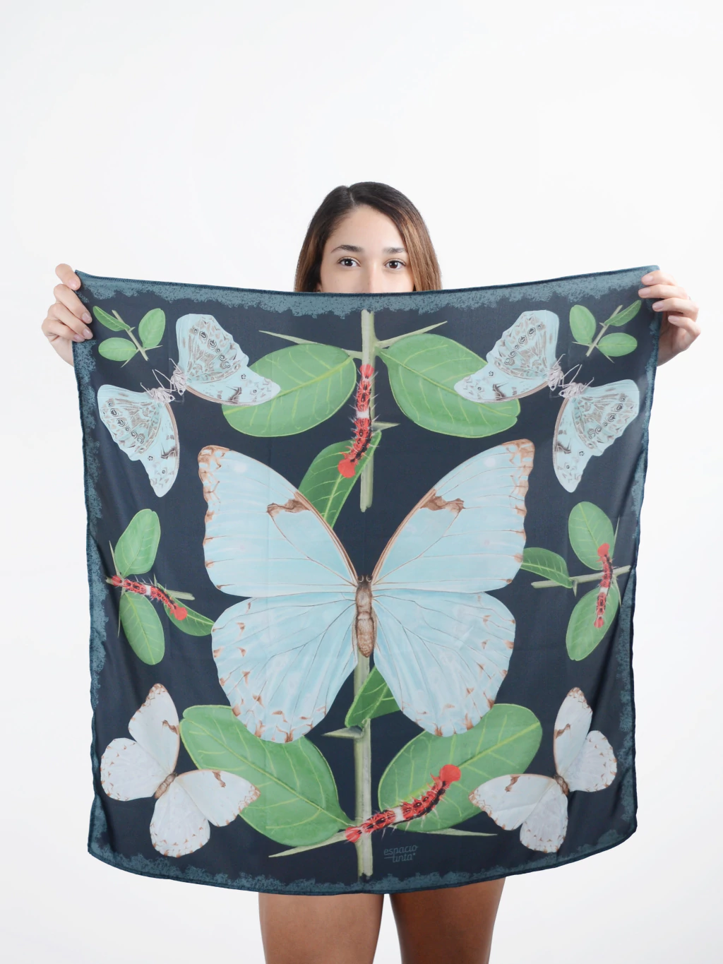 pañuelos MARIPOSA BANDERA ARGENTINA fondo petróleo oscuro