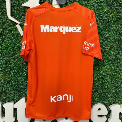 Camiseta Independiente Avellaneda Arquero 23-24/ Puma - comprar online