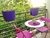 Maceta balconera - comprar online