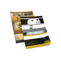 CUADERNO AMERICA T/F 86 HS RAY