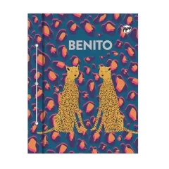 CARPETA Nº 3 BENITO FERNANDEZ