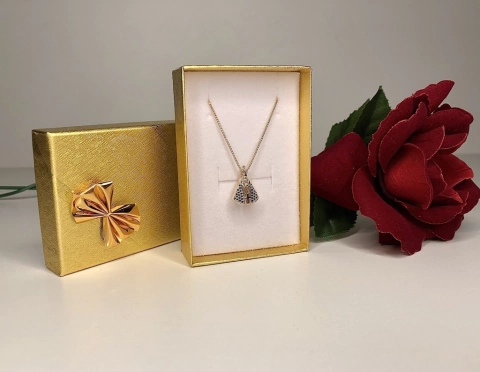 Colar Nossa Senhora Aparecida - dupla face