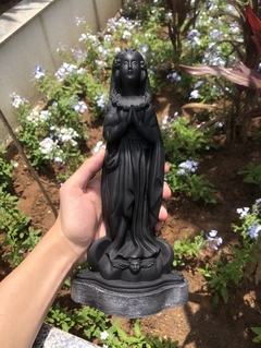 Nossa Senhora Aparecida Emborrachada na internet