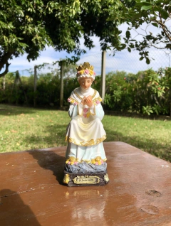 Nossa Senhora da Salette na internet