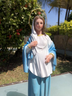 Nossa Senhora da Doce Espera - resina - comprar online